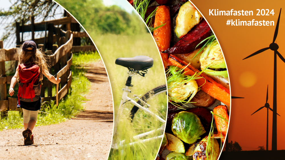 Vier Bildausschnitte zeigen: 1 Fußgängerin, 1 Fahrrad, Gemüse, Windräder